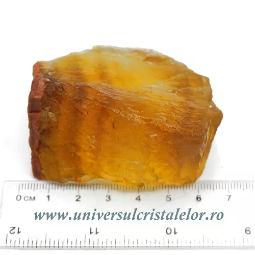 Fluorina galbena Fluorina galbena