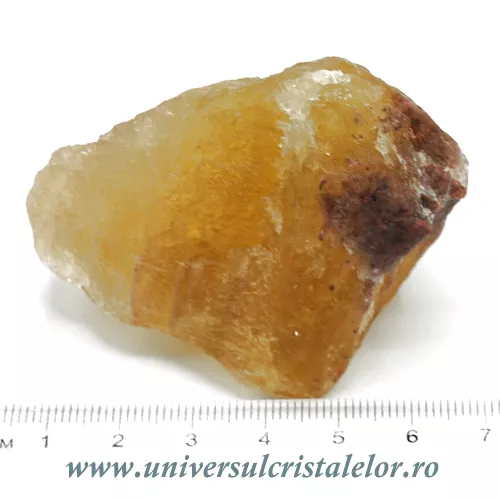 Fluorina galbena Fluorina galbena