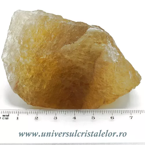 Fluorina galbena Fluorina galbena