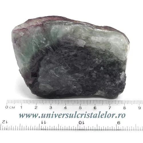 Fluorina multicolor Fluorina multicolor