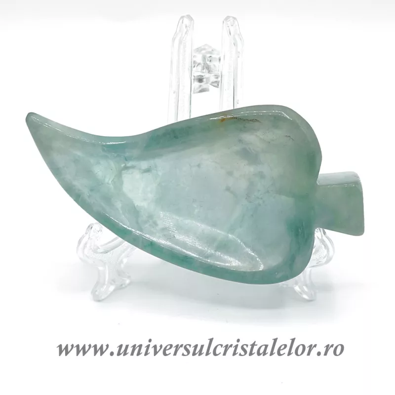 Bol fluorina multicolor 02