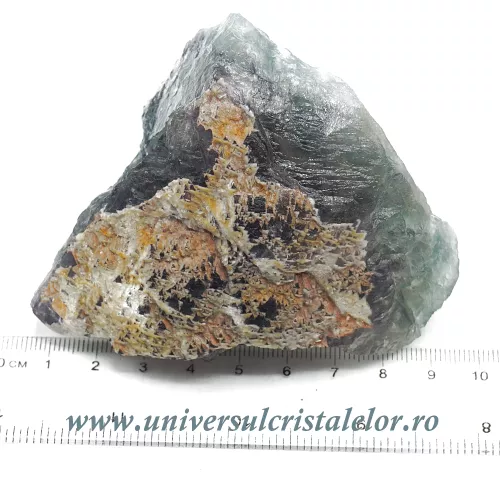 Fluorina multicolor Fluorina multicolor