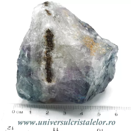 Fluorina multicolor Fluorina multicolor