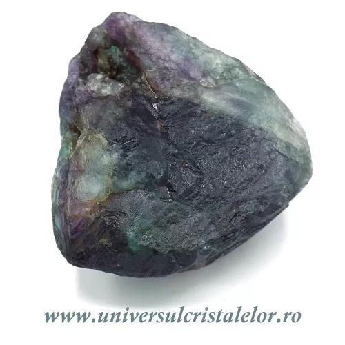 Fluorina multicolor Fluorina multicolor