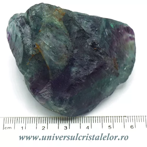 Fluorina multicolor Fluorina multicolor