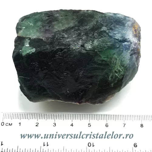 Fluorina multicolor Fluorina multicolor