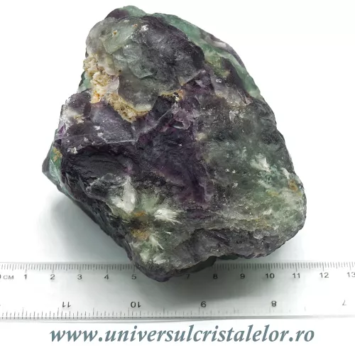 Fluorina multicolor Fluorina multicolor