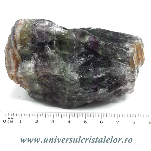 Fluorina multicolor Fluorina multicolor