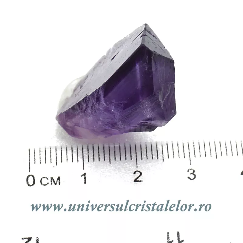 Fluorina mov Fluorina mov