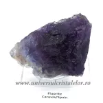 Fluorina mov