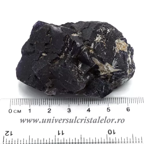 Fluorina mov  Fluorina mov