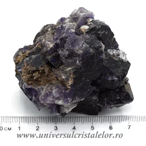 Fluorina mov Fluorina mov