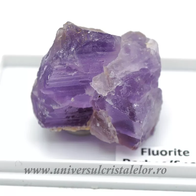 Fluorina mov