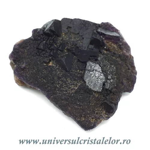 Fluorina mov Fluorina mov