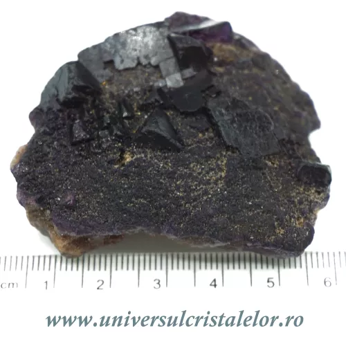 Fluorina mov Fluorina mov