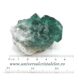 Fluorina verde Fluorina verde