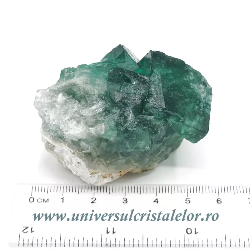 Fluorina verde Fluorina verde