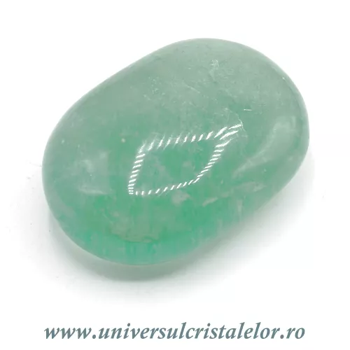 Fluorina polisata  Fluorina polisata