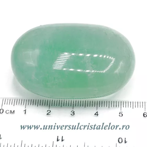 Fluorina polisata  Fluorina polisata