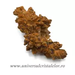 Coprolit broasca testoasa preistorica Coprolit broasca testoasa preistorica