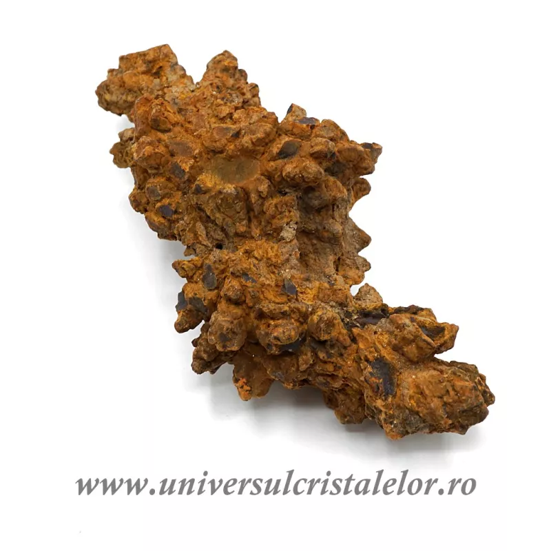 Coprolit broasca testoasa preistorica Coprolit broasca testoasa preistorica
