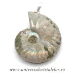 Pandantiv amonit cleoniceras