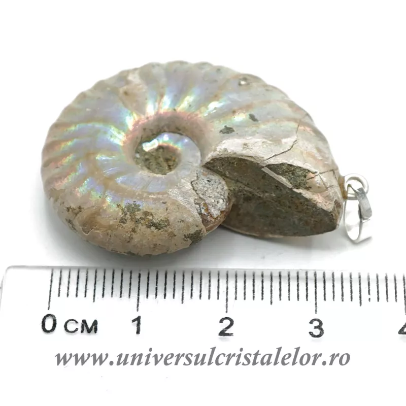 Pandantiv amonit cleoniceras