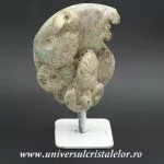 Amonit cleoniceras pe suport pe metal Amonit cleoniceras pe suport pe metal