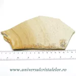Ardezie jurasica Ardezie jurasica