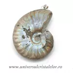 Pandantiv amonit cleoniceras