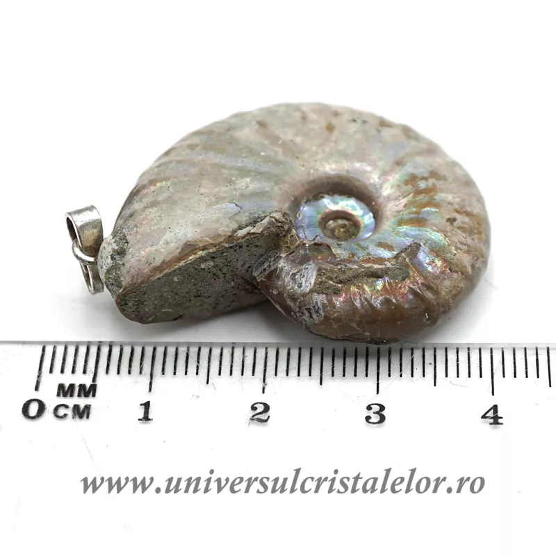 Pandantiv amonit cleoniceras