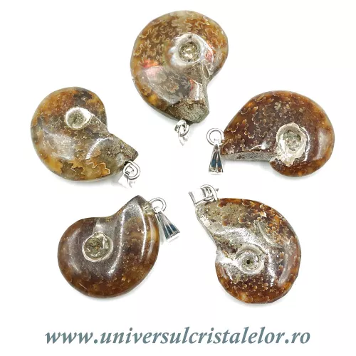 Pandantiv amonit cleoniceras Pandantiv amonit cleoniceras