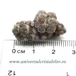 Coprolit de dinozaur Coprolit de dinozaur