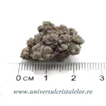 Coprolit de dinozaur Coprolit de dinozaur