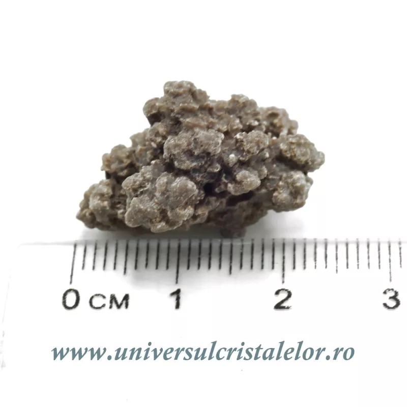 Coprolit de dinozaur Coprolit de dinozaur