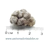 Coprolit de dinozaur Coprolit de dinozaur
