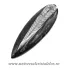 Orthoceras