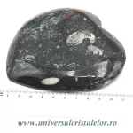 Orthoceras bol inima Orthoceras bol inima