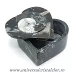 Caseta bijuterii orthoceras