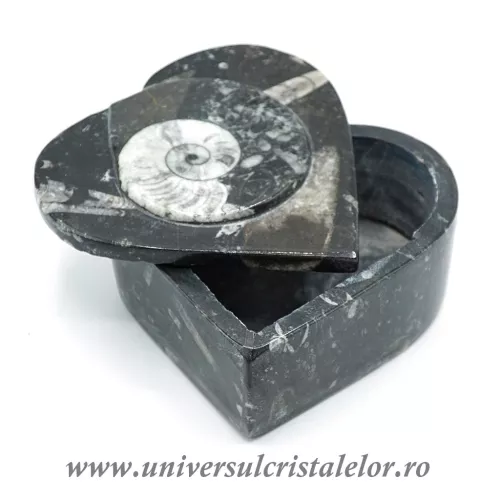 Caseta bijuterii orthoceras