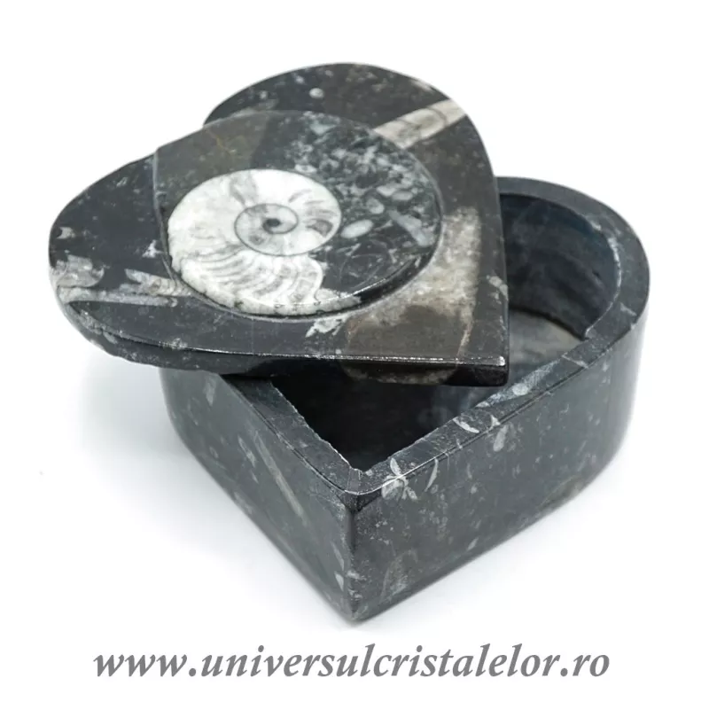 Caseta bijuterii orthoceras