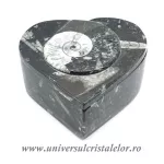 Caseta bijuterii orthoceras