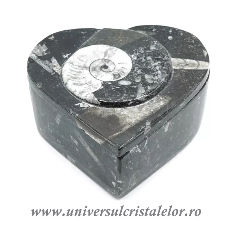 Caseta bijuterii orthoceras