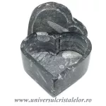 Caseta bijuterii orthoceras