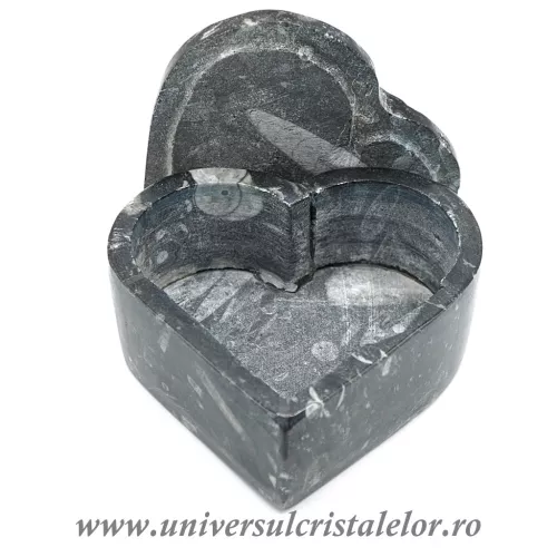 Caseta bijuterii orthoceras