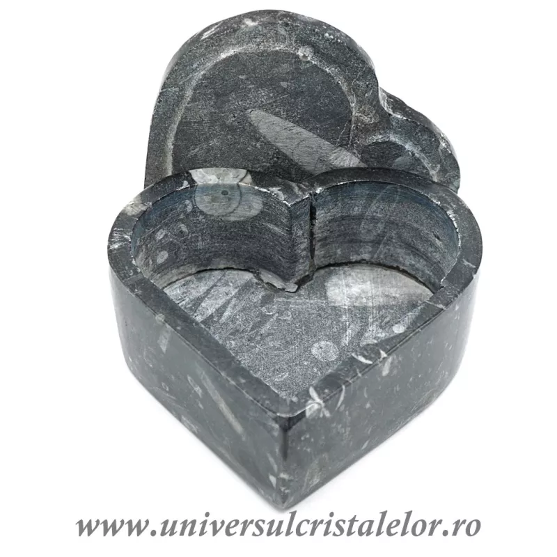 Caseta bijuterii orthoceras