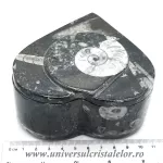 Caseta bijuterii orthoceras