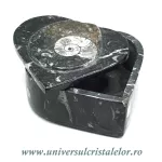 Caseta bijuterii orthoceras Caseta bijuterii orthoceras