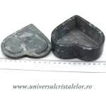 Caseta bijuterii orthoceras Caseta bijuterii orthoceras