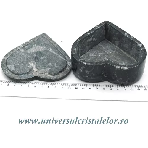 Caseta bijuterii orthoceras Caseta bijuterii orthoceras